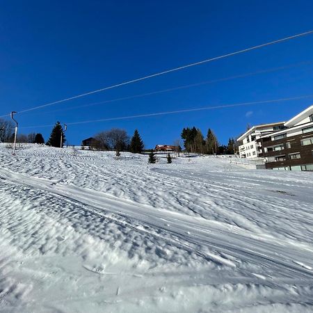 Utulny Apartman Triangel 50M Od Lyziarskeho Vleku Zahradky ドノヴァリ エクステリア 写真